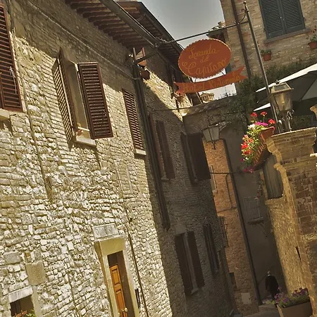 La Del Capitano Montone (Umbria)